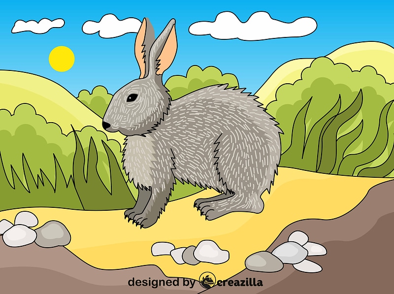 Rabbit