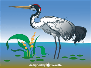Crane