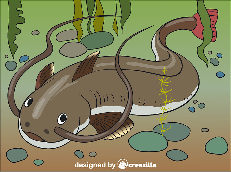 Catfish