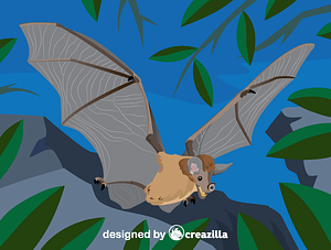 Spectral bat