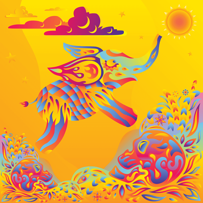 Psychedelic Elephant