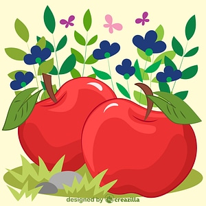 Apples