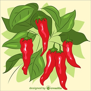 Chili
