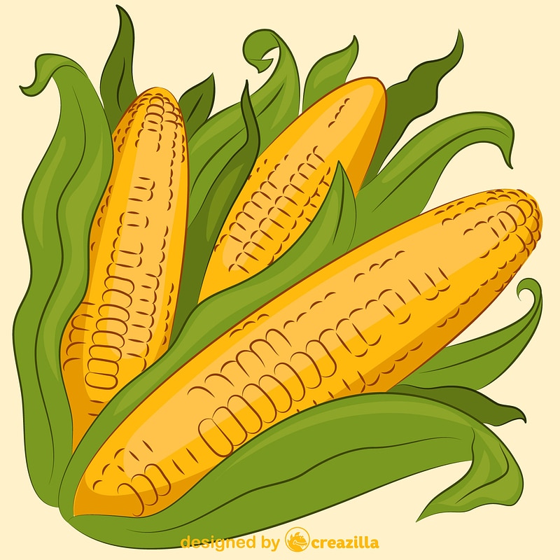 Corn