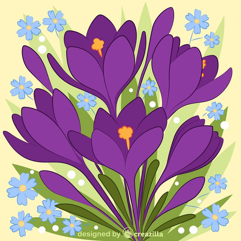Spring flower