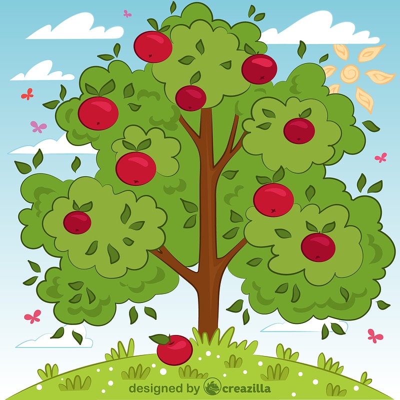Apple tree