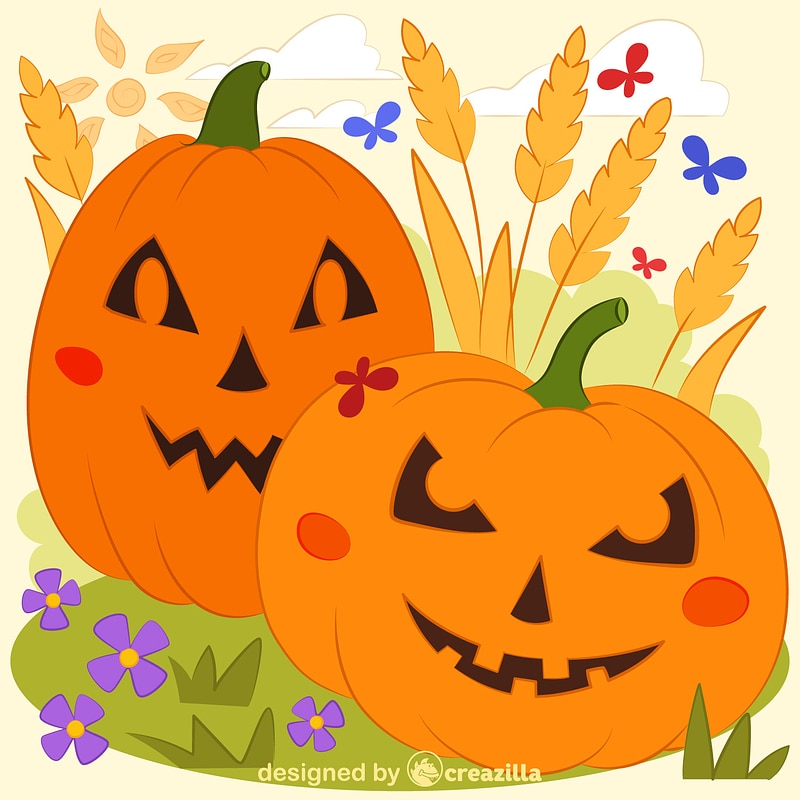 Pumpkin patch