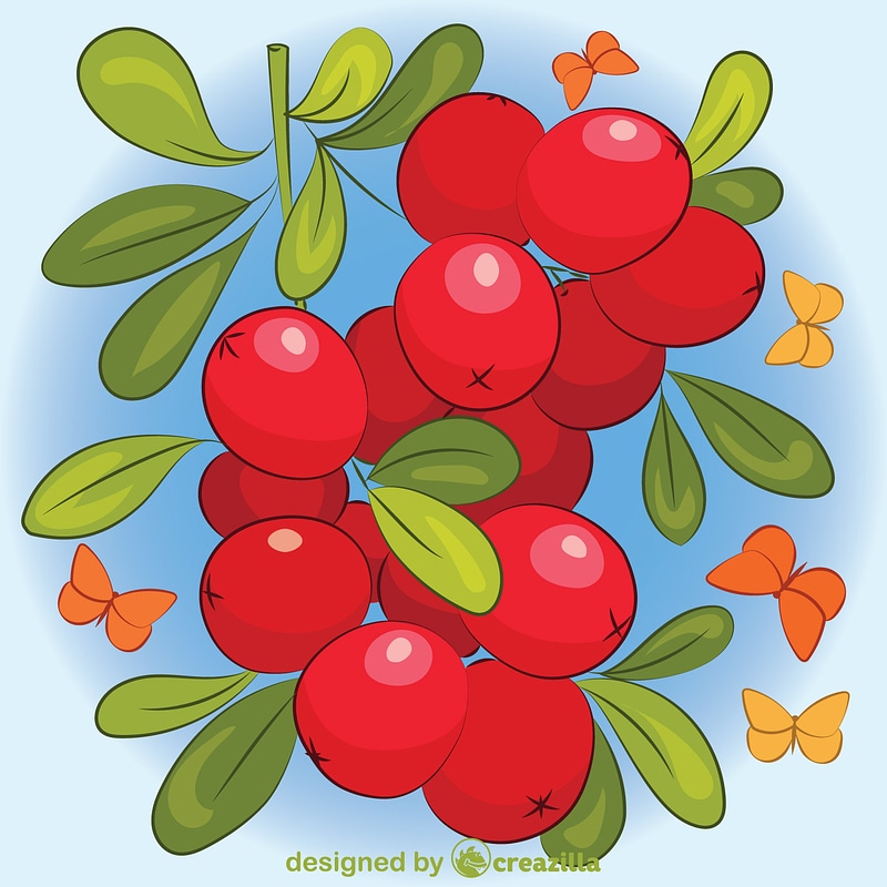 Cranberry
