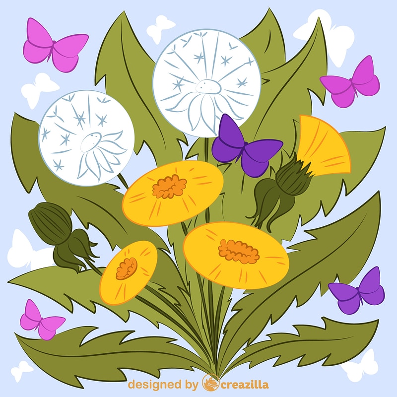 Dandelion