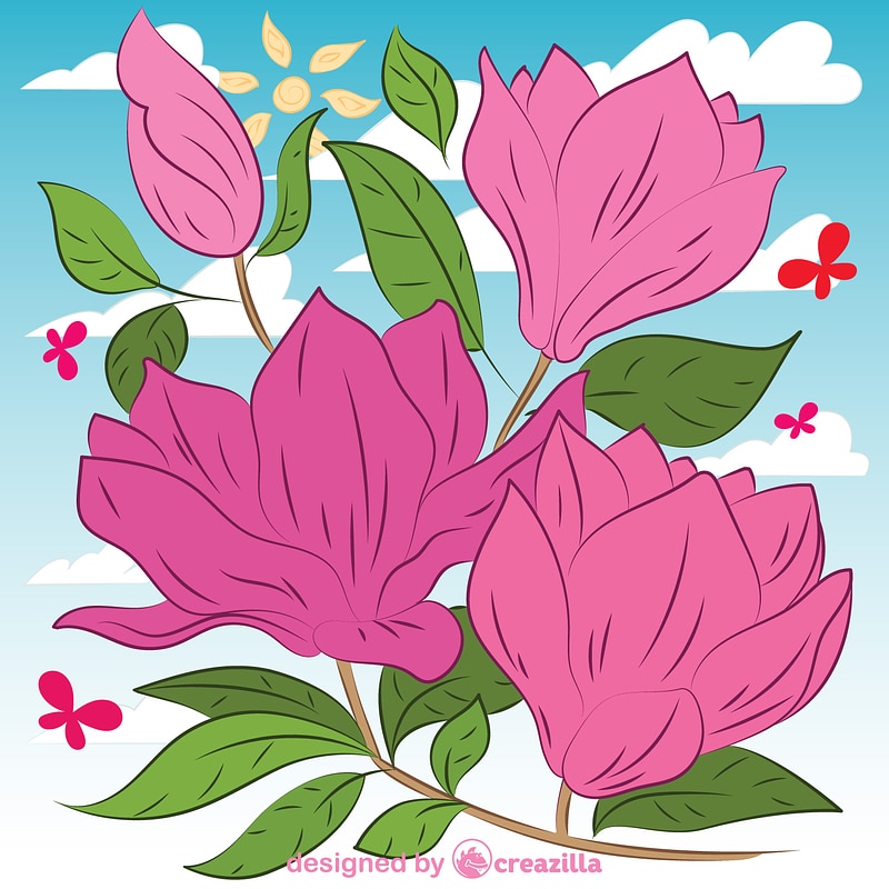 Magnolia