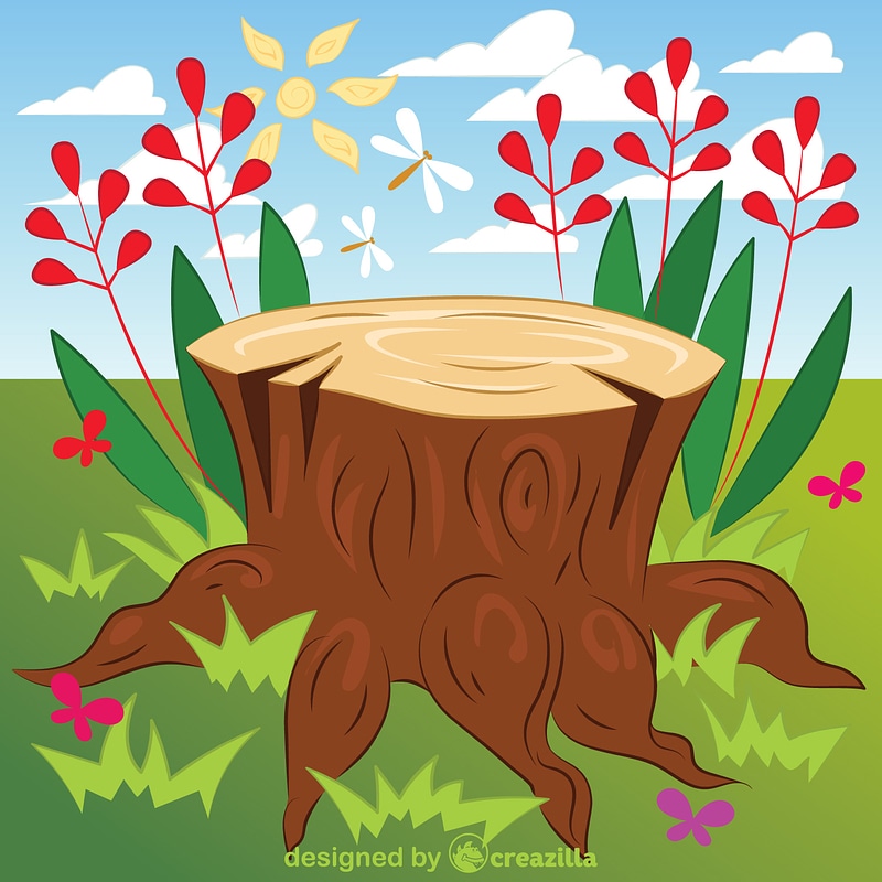 Tree stump