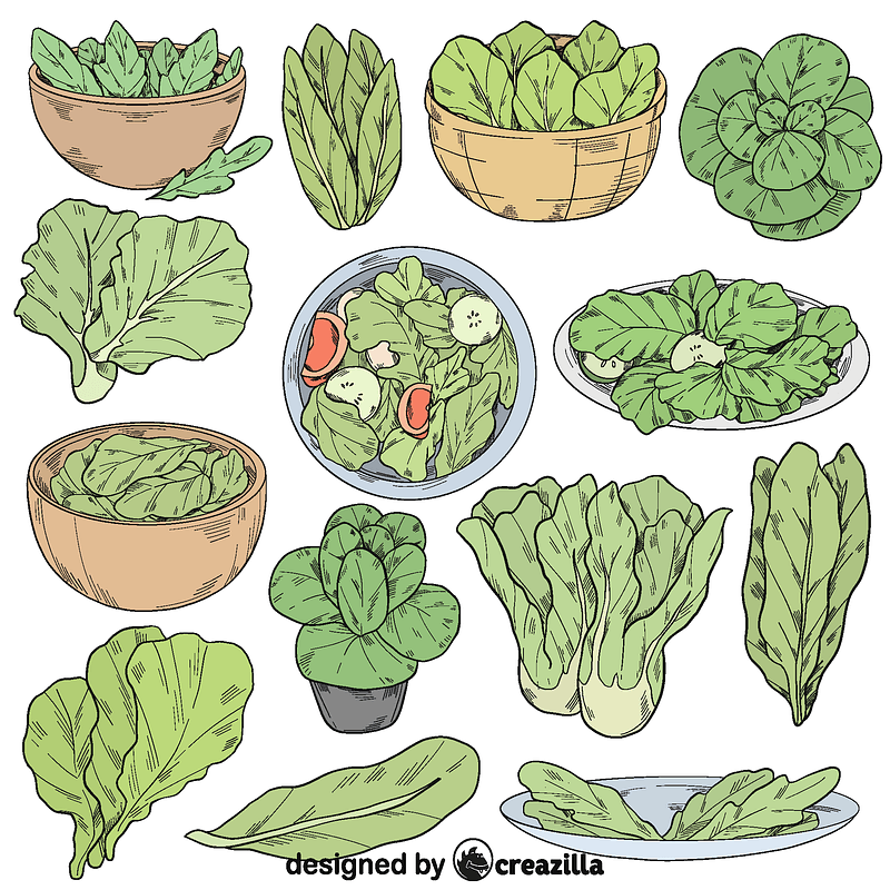 Set of lettuce