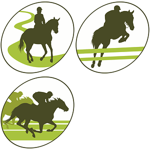 Set of Equestrian Labels with Jockey Riding Horse