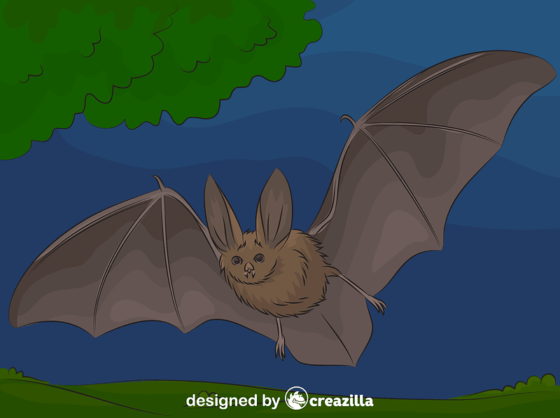 Townsend's big-eared bat