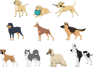 Set 4 of Cute Dogs