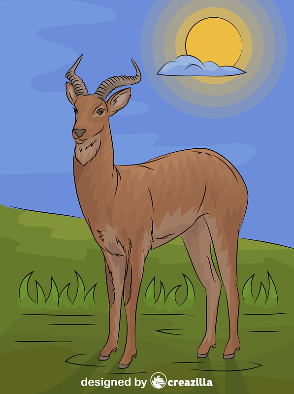 Uganda Kob Antelope