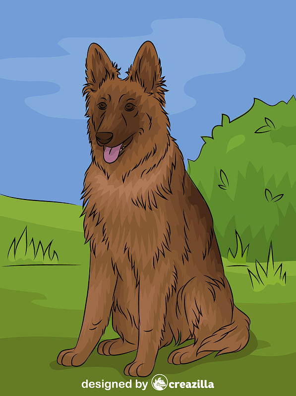 German Shepherd