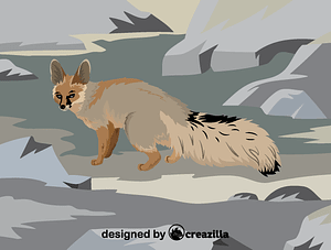 Blanford's fox