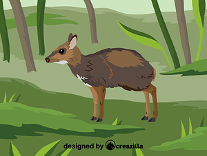 Philippine mouse-deer