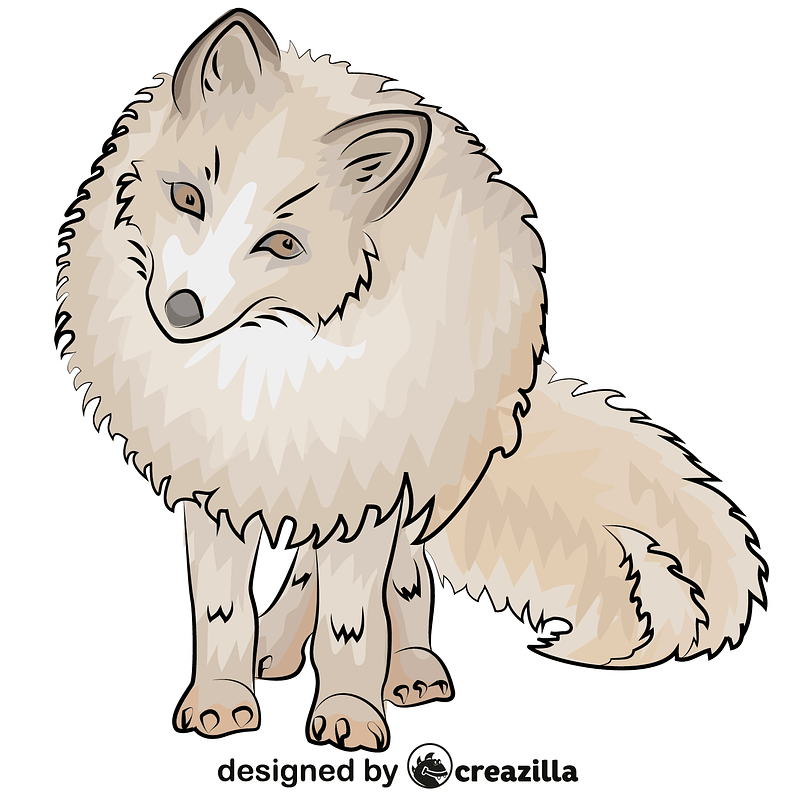 Arctic Fox
