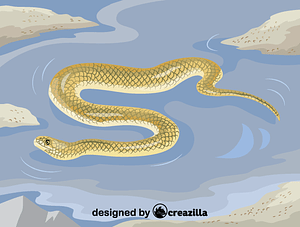 Beaked sea snake