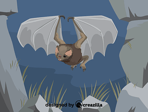 Hairy-legged vampire bat