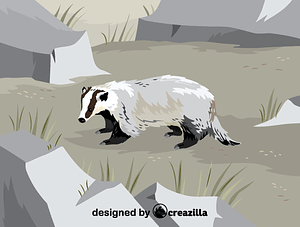 Asian badger