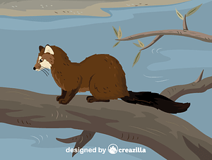 Aquatic genet