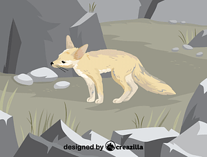 Pale fox