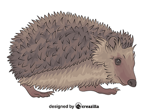 Hedgehog