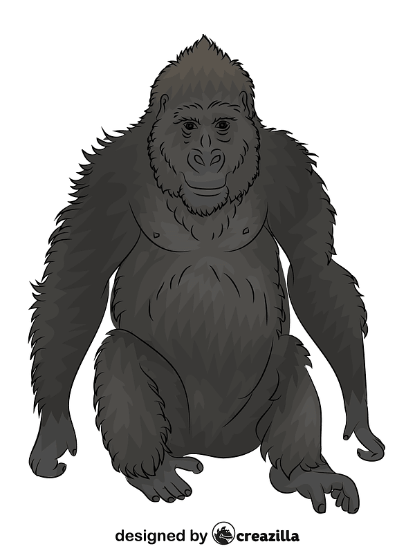 Gorilla