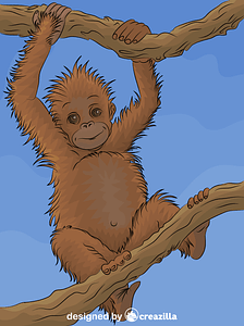 Sumatra-orangutang