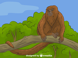 Howler Monkey
