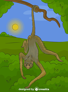 Muriqui-do-sul (Macaco-aranha)