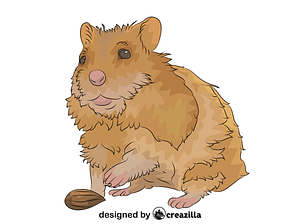 Hamster