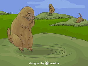 Prairie Dog