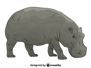 Hippopotamus