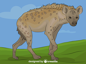 Hyena
