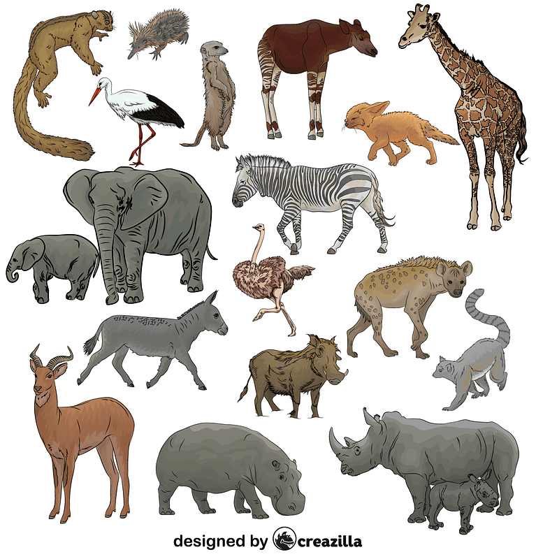Set of African Safari Animals