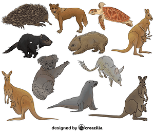 Animales australianos