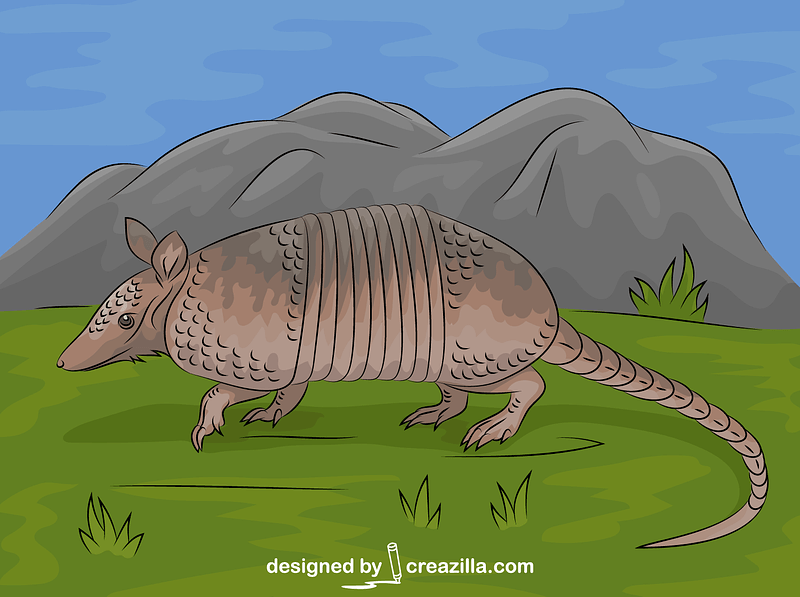 Nine-banded Armadillo