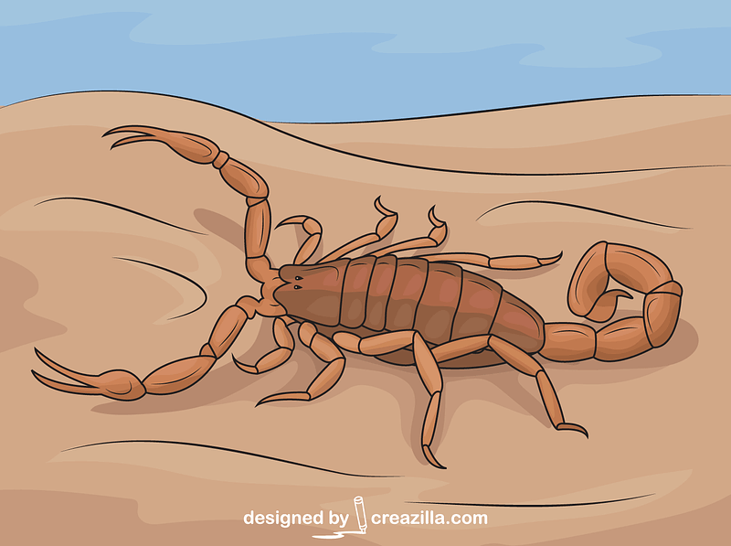 Striped Bark Scorpion