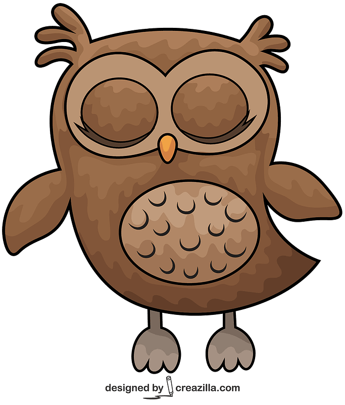 Sleeping Owl