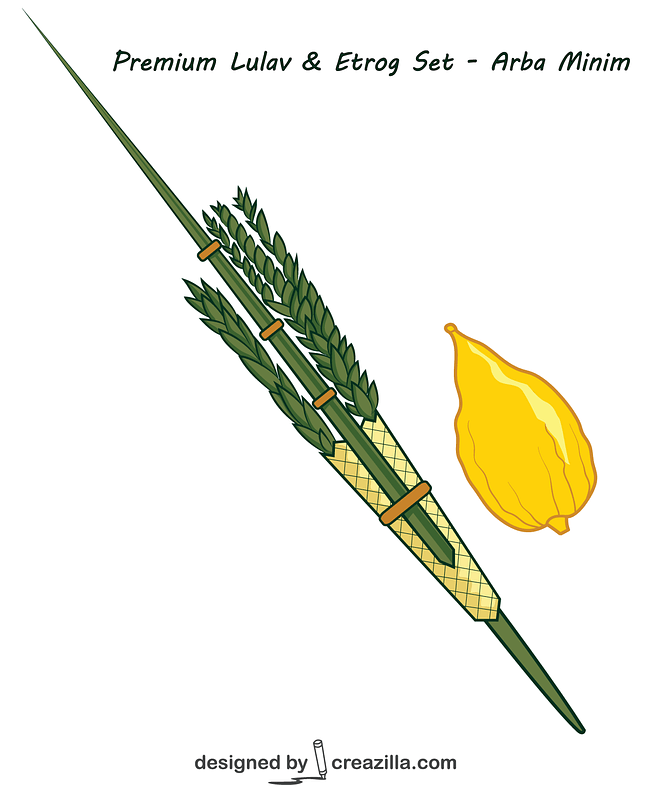 Lulav and Etrog