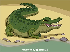 Alligator