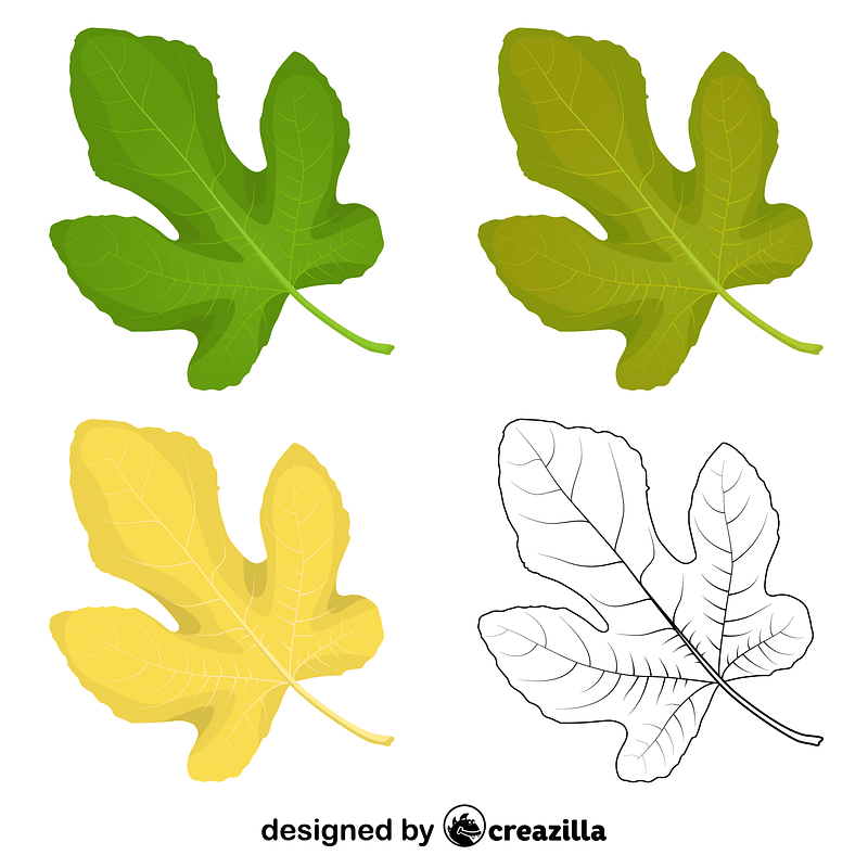 Common fig leaves