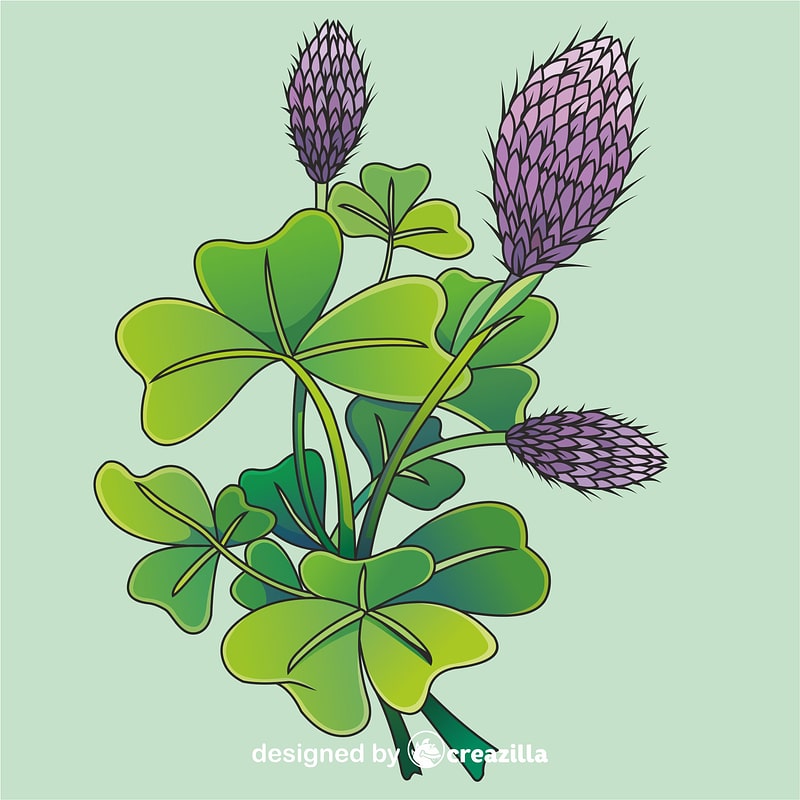 Clover