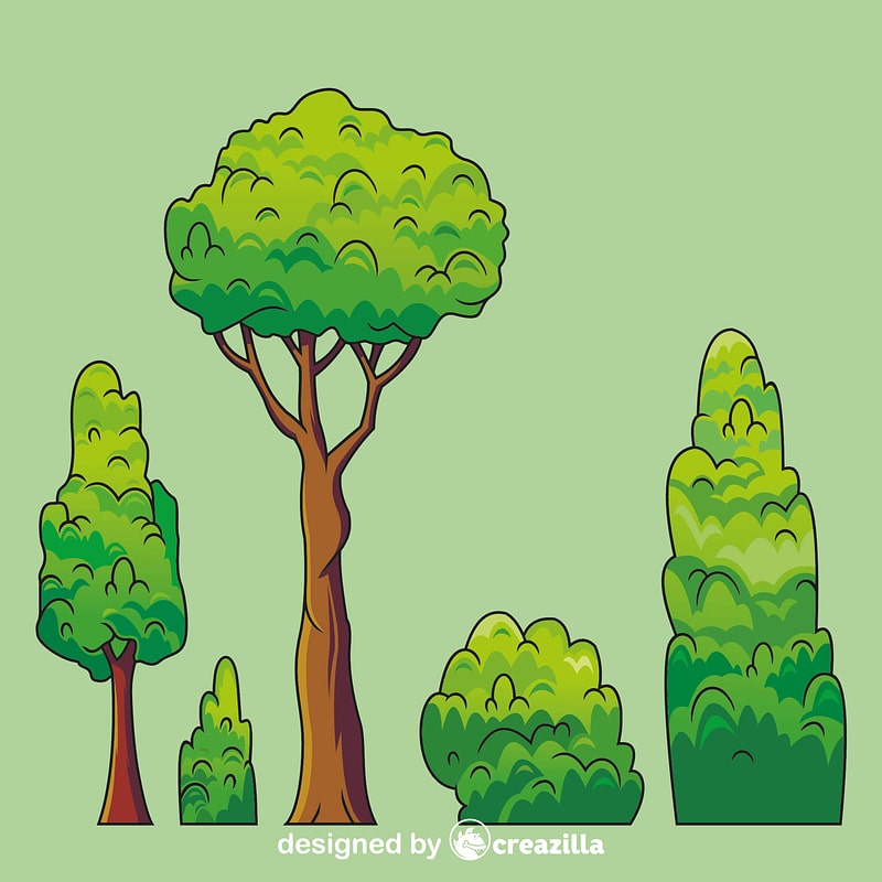 Evergreen tree
