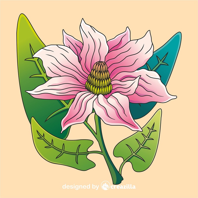 Magnolia