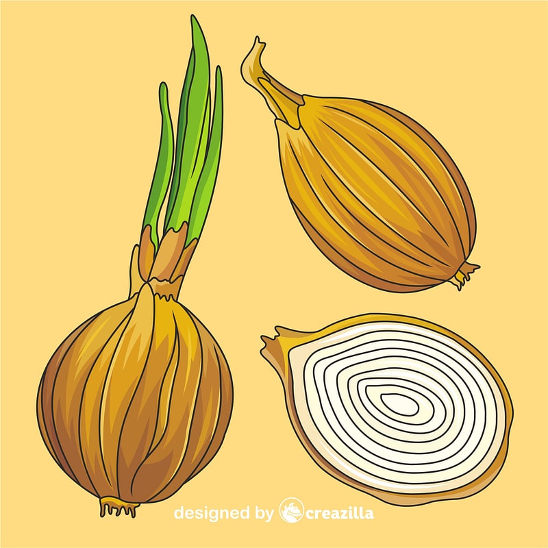 Onion